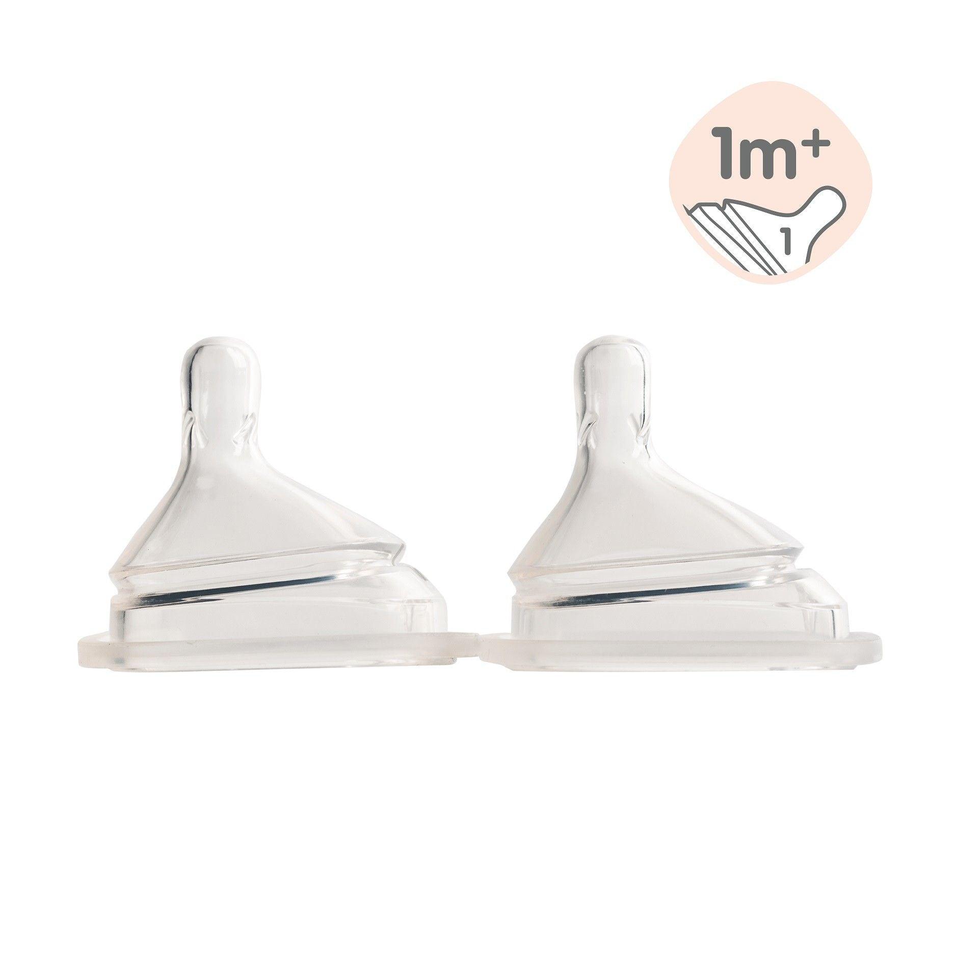 Hegen Teat Slow Flow, 2-Pack (1 to 3 months)