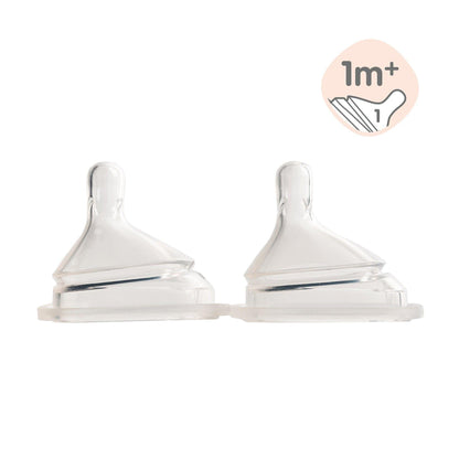 Hegen Teat Slow Flow, 2-Pack (1 to 3 months)